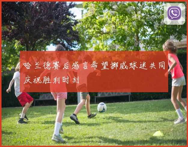 哈兰德赛后感言希望挪威球迷共同庆祝胜利时刻