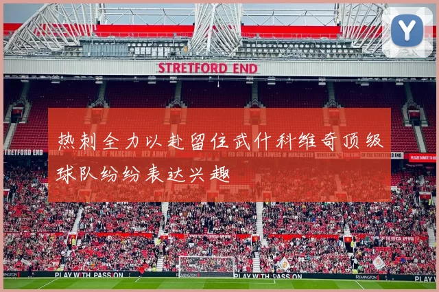 热刺全力以赴留住武什科维奇顶级球队纷纷表达兴趣